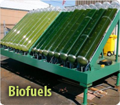 biofuels